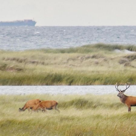 Fewo-Kramm Ostseebad Dierhagen Kültér fotó